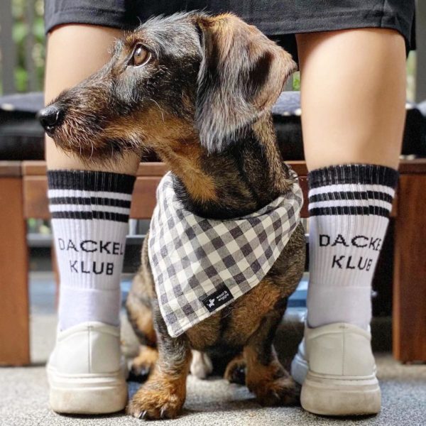 Dackel Klub Socks