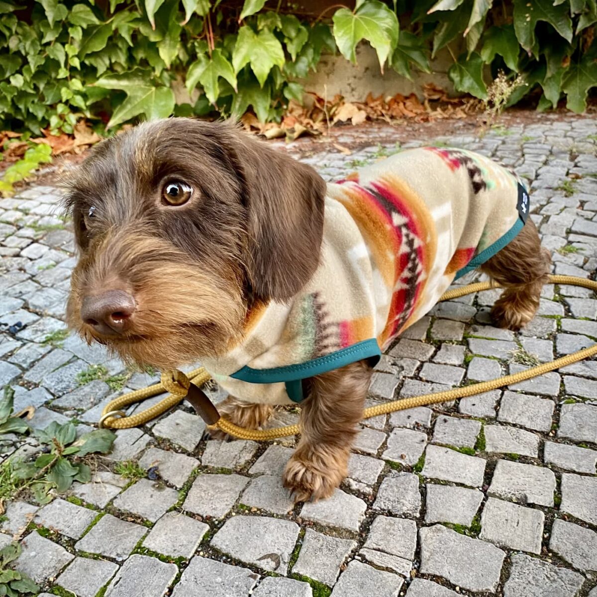 Hondenfleece trui “Desert Valley”