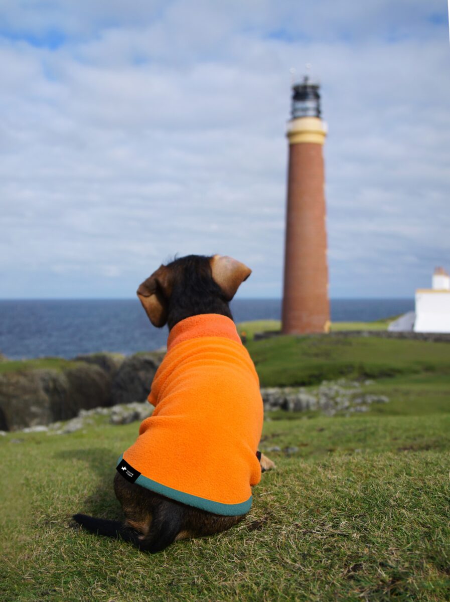 Polartec “Essential” hondentrui