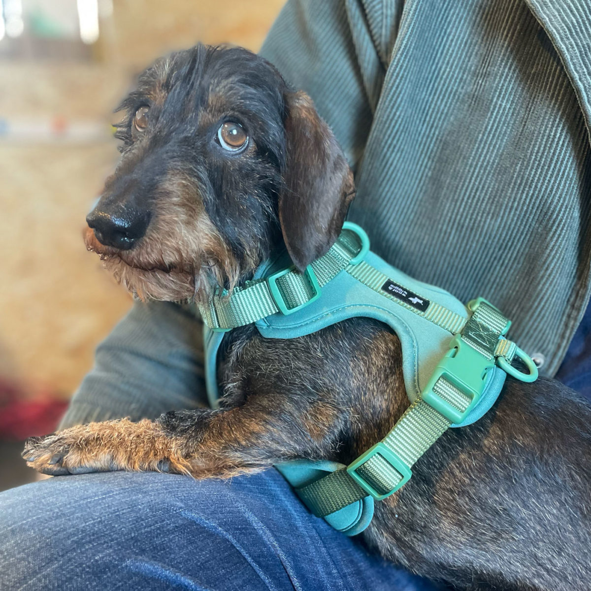 woof & wiggle hondentuig “Explorer” flesgroen