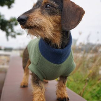 fleece jumpers for dogs