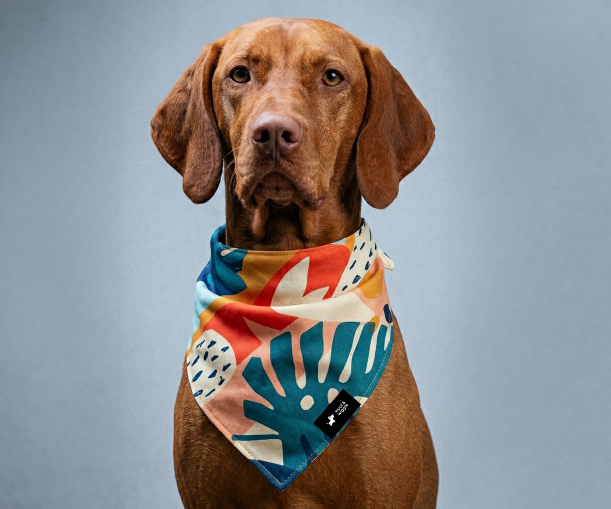 Produktbild Hundehalstuch von woof & wiggle