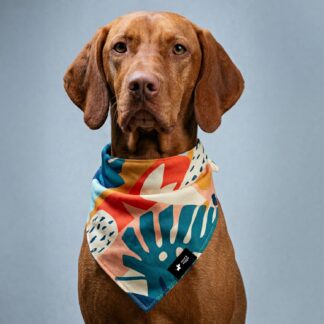 Produktbild Hundehalstuch von woof & wiggle