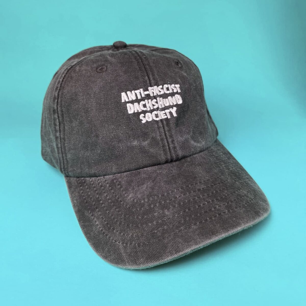 Anti-Fascist Dachshund Society Cap