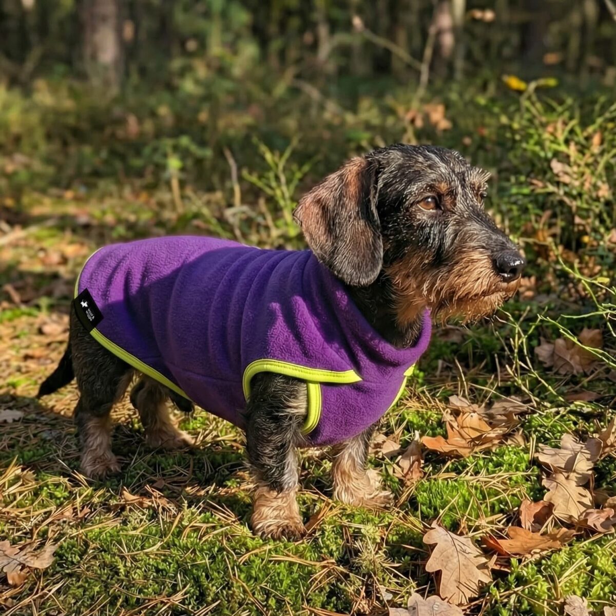 Polartec "Essential" Hundepullover Ultraviolett
