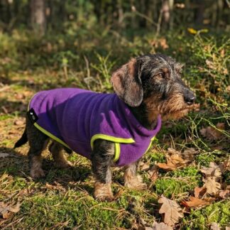 Polartec "Essential" Hundepullover Ultraviolett