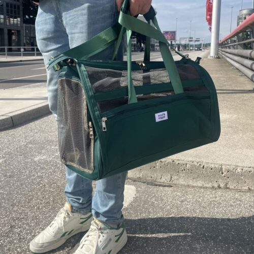 FlyBuddy Hundereisetasche Grün