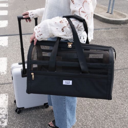 FlyBuddy Hundereisetasche Schwarz
