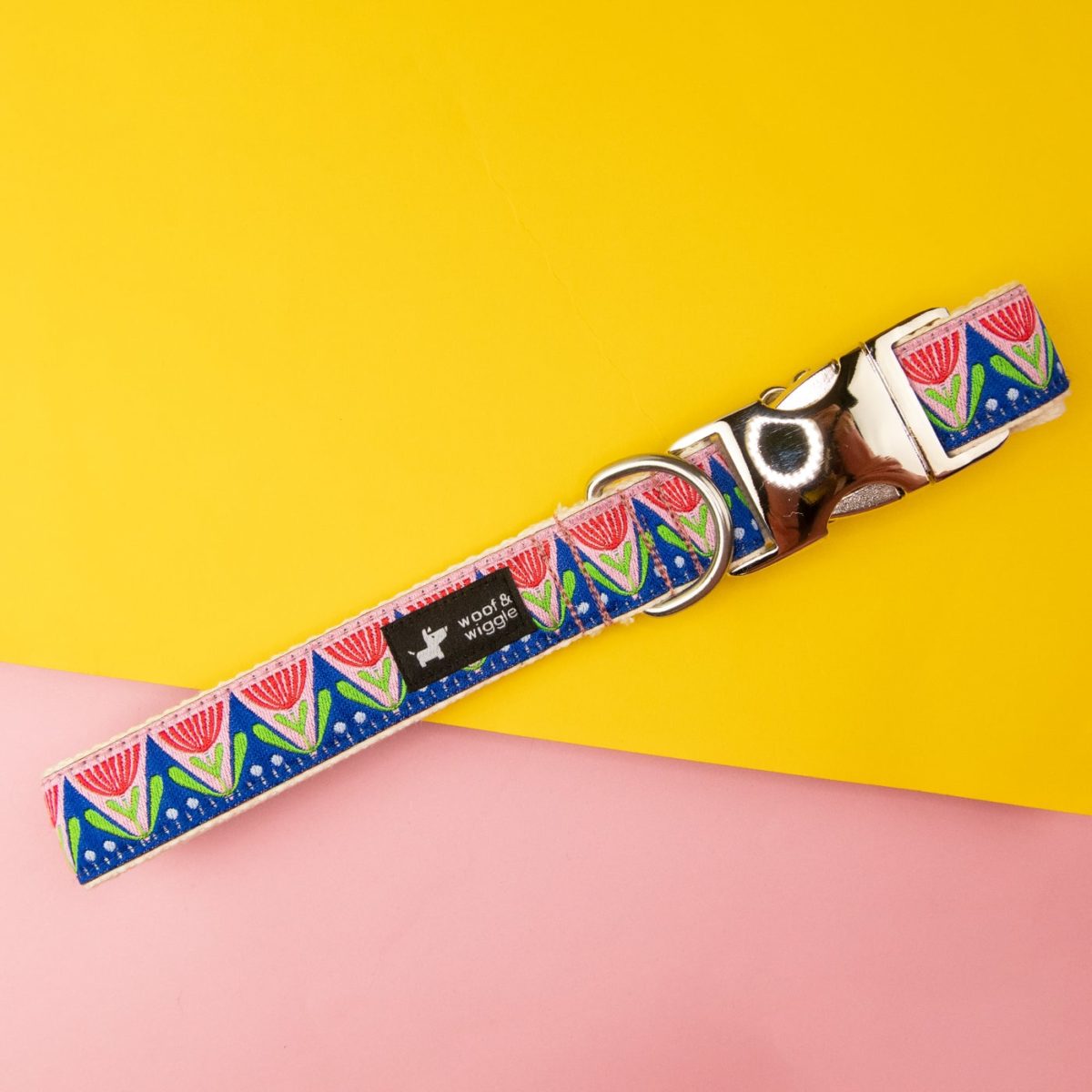 Dog collar with abstract colorful floral design