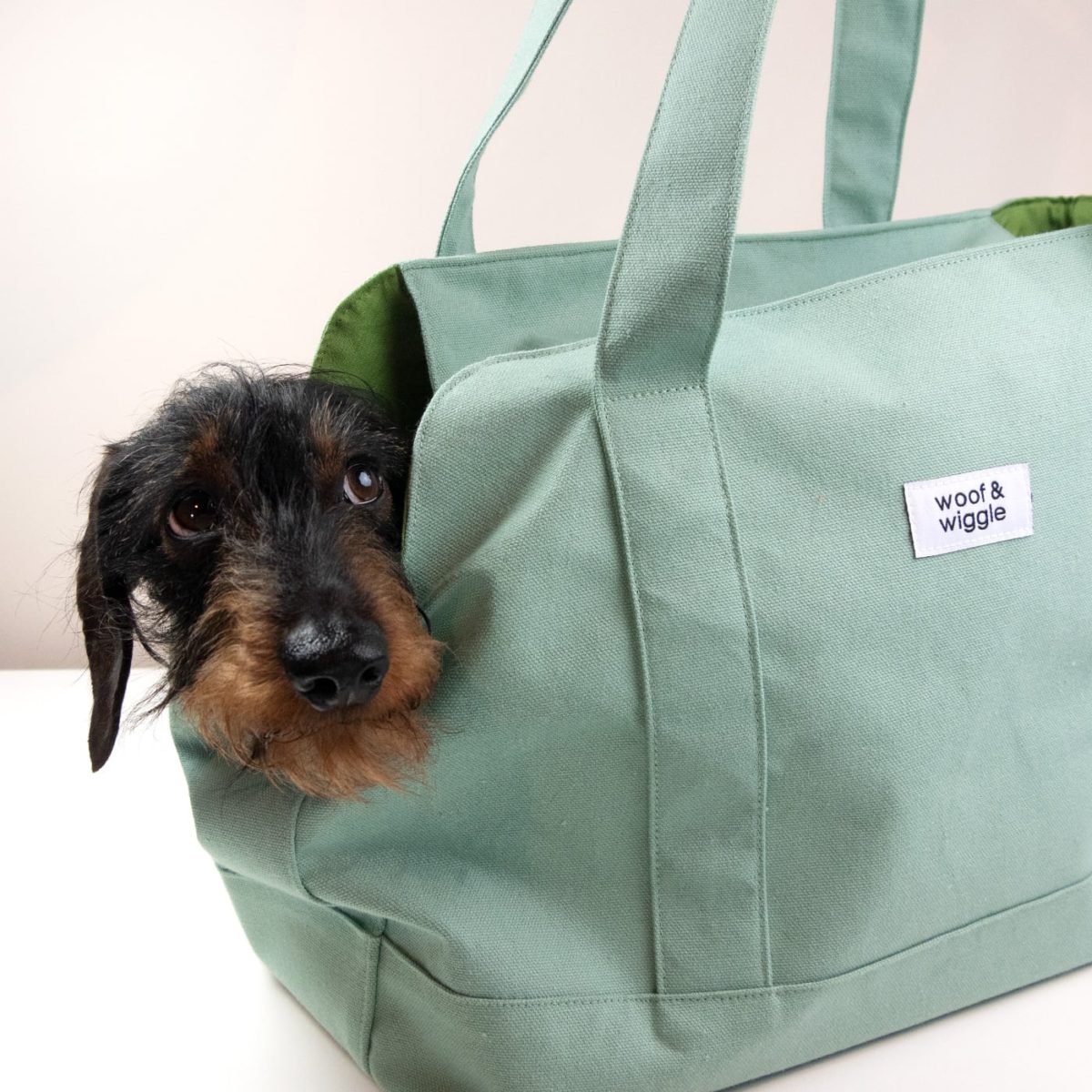 Hundetasche "Vacay All Day"