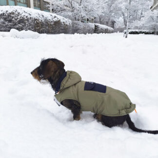 Hunde Steppmantel “Hybrid Anorak”