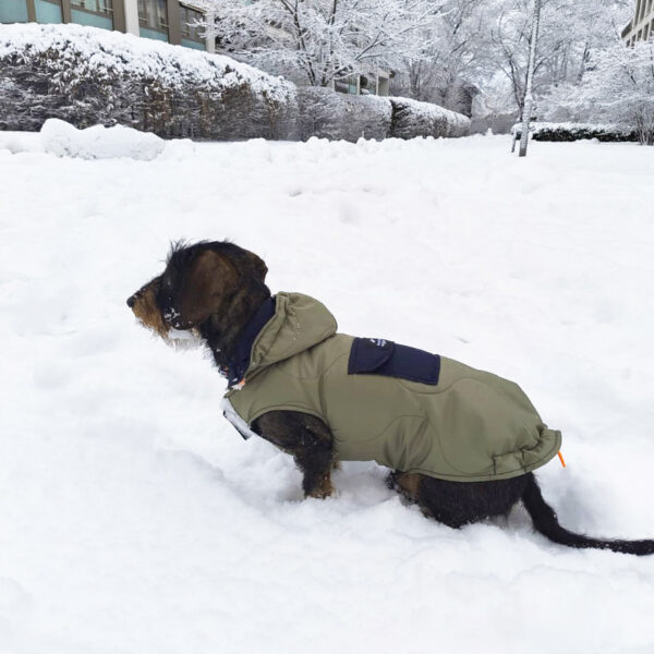 Hunde Steppmantel “Hybrid Anorak”