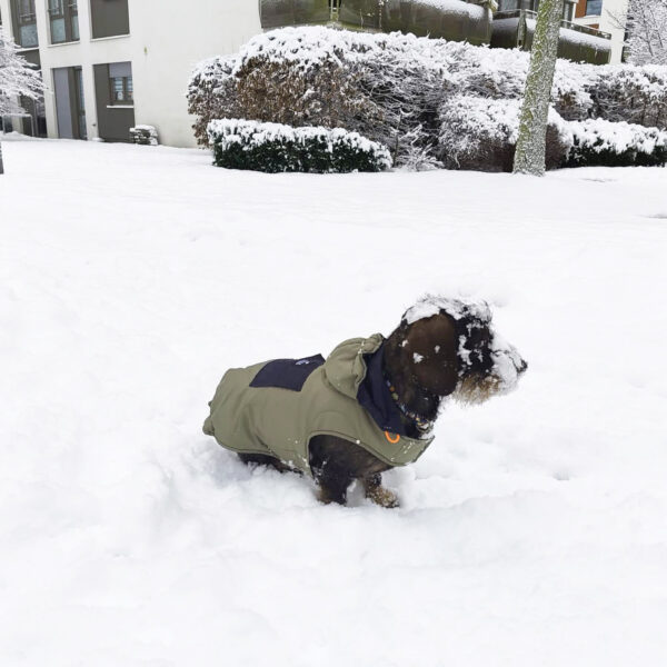 Hunde Steppmantel “Hybrid Anorak”