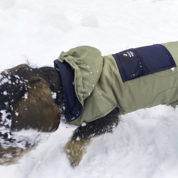 Hunde Steppmantel “Hybrid Anorak”