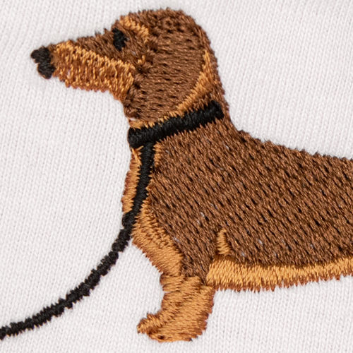 Short-haired dachshund - Brown