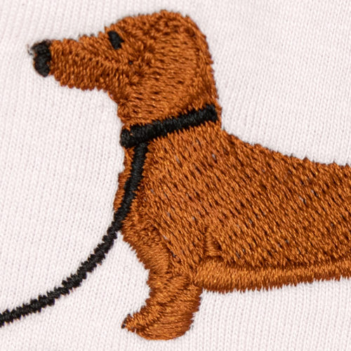 Short-haired dachshund - Red