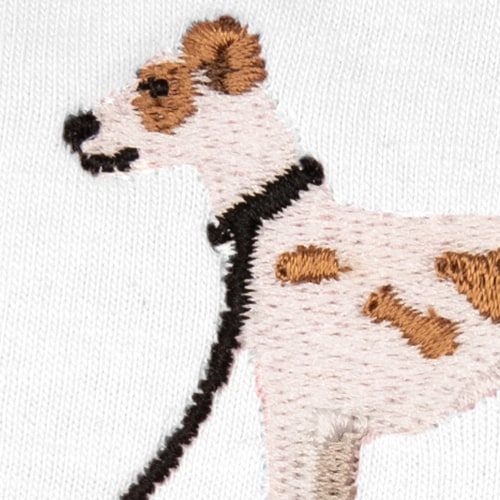 Parson Russell Terrier - Wit-Rood