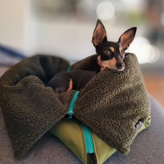 Hundeschlafsack "Wanderlust" mit Loki