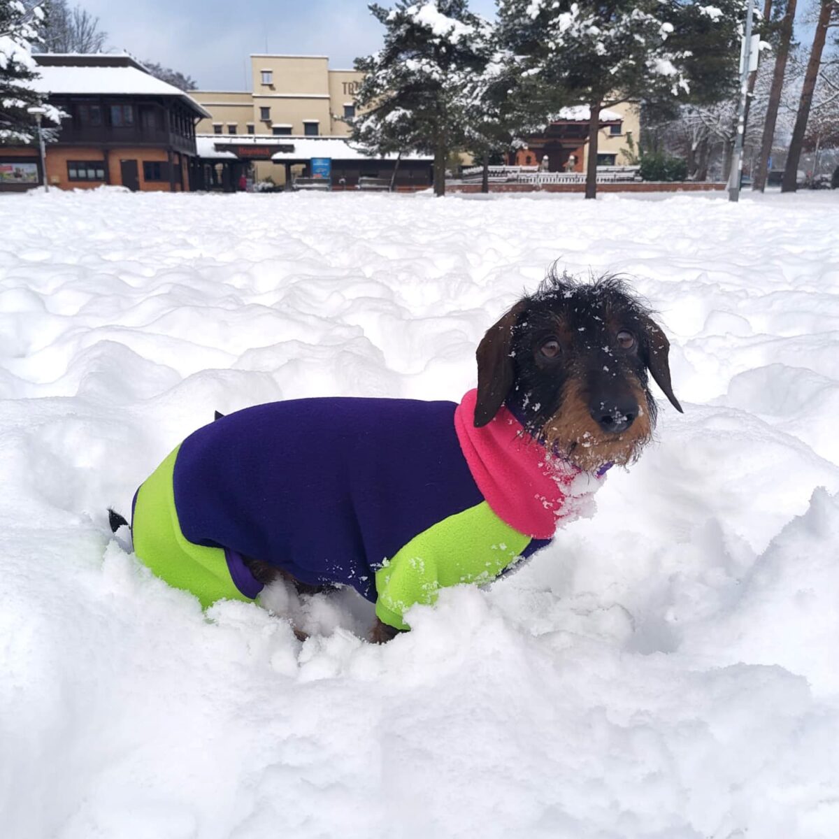 Hunde Onesie Polartec Pullover mit Beinchen