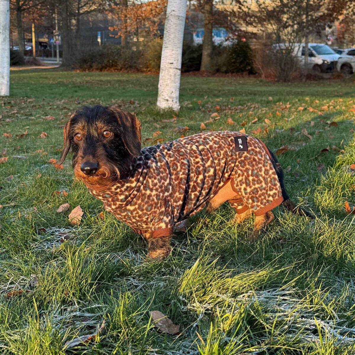 Hunde Onesie Leopard Braun/Petrol Pullover mit Beinchen
