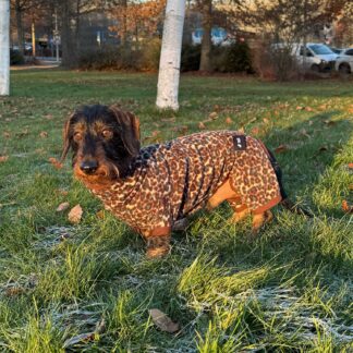 Hunde Onesie Leopard Braun/Petrol Pullover mit Beinchen