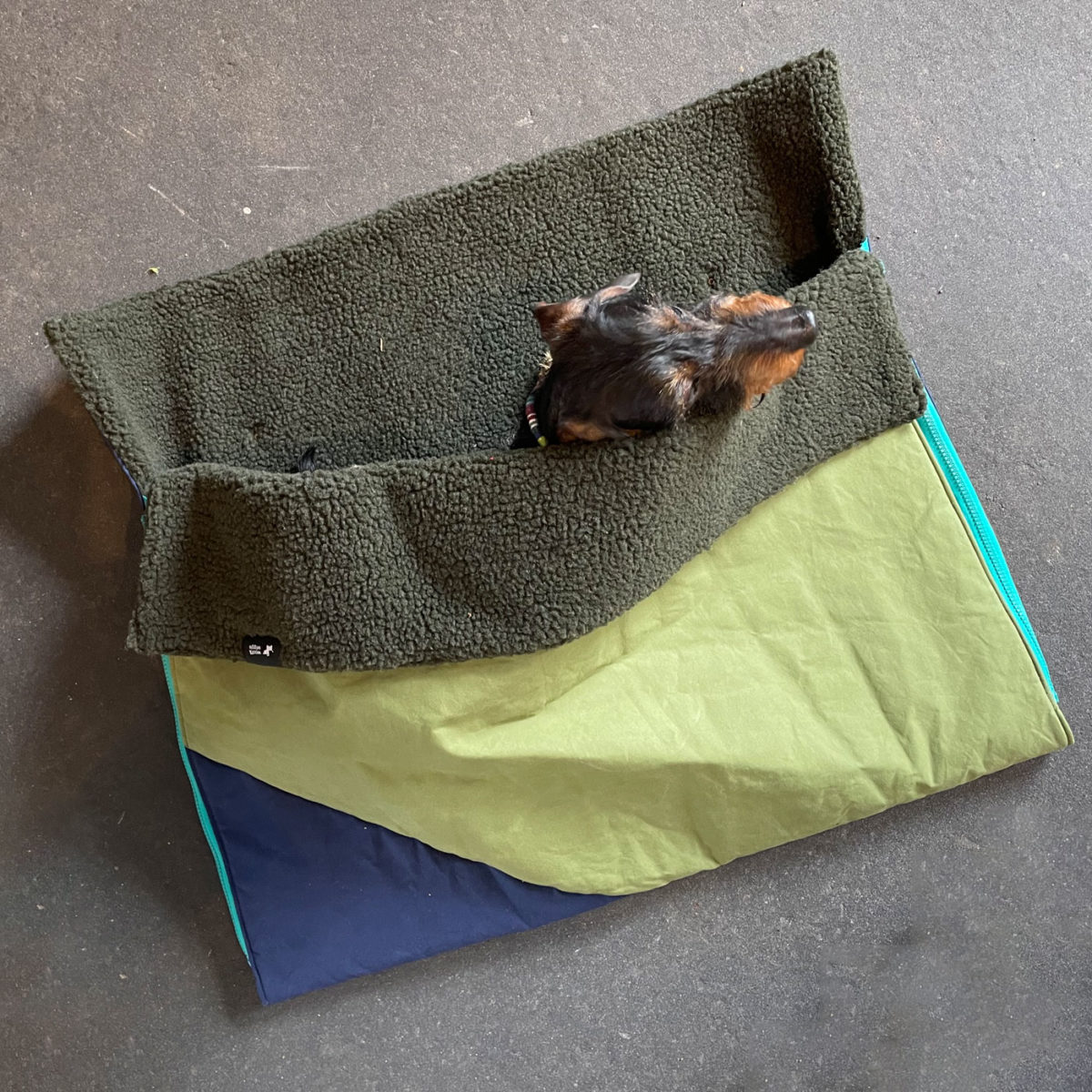 Dog sleeping bag "Wanderlust" with dachshund Mikkel