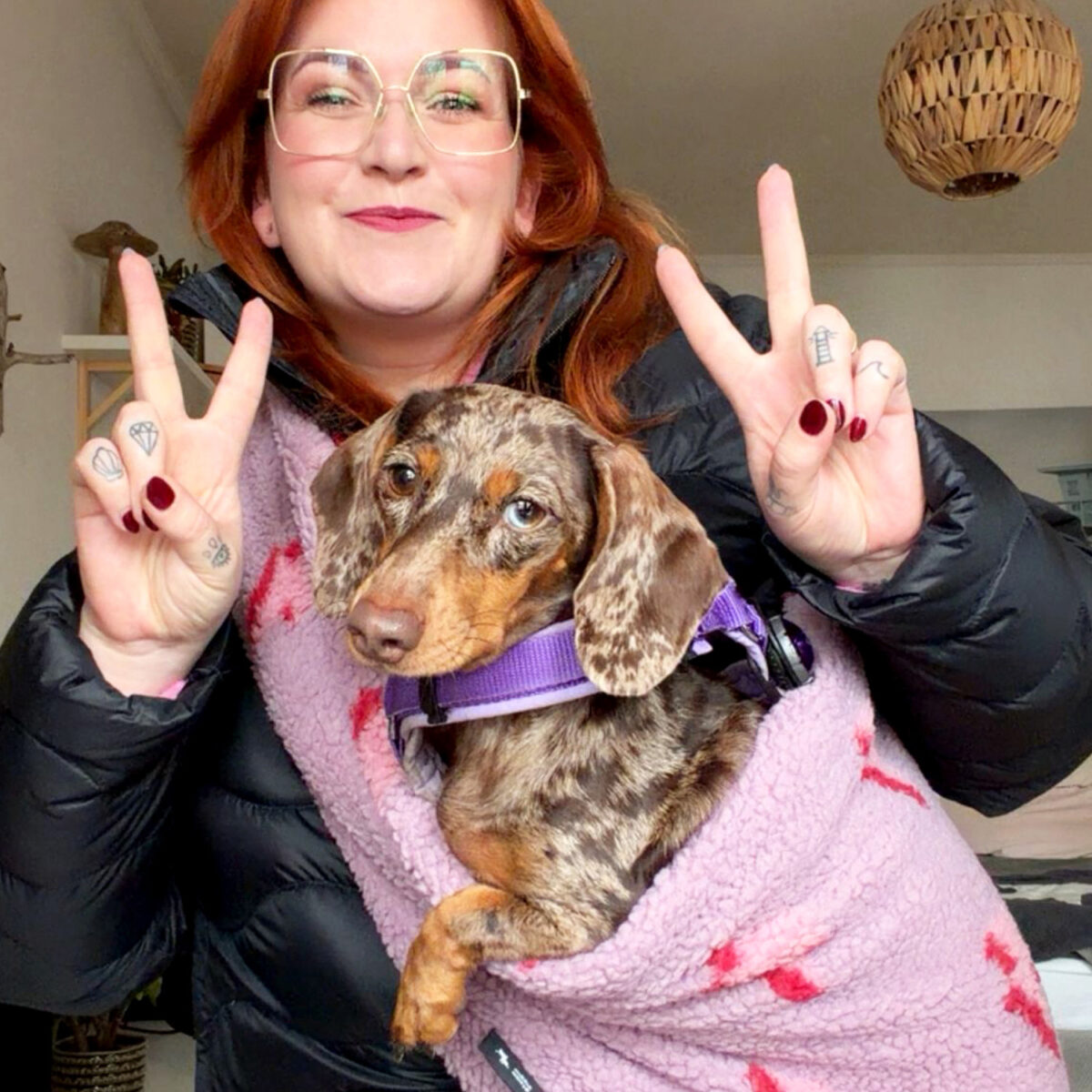 SnugPup Hundetrage Lightning