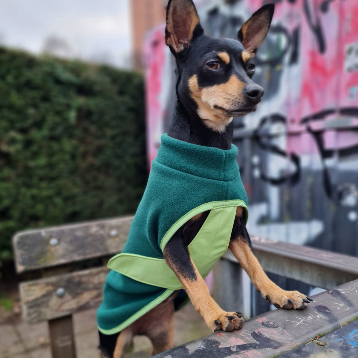 Hunde Fleece "Speedy Wrap" Grün mit Bauchschutz