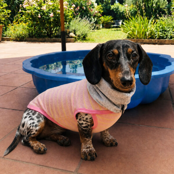 Frottee Summer Shirt Beach Day UV Shirt