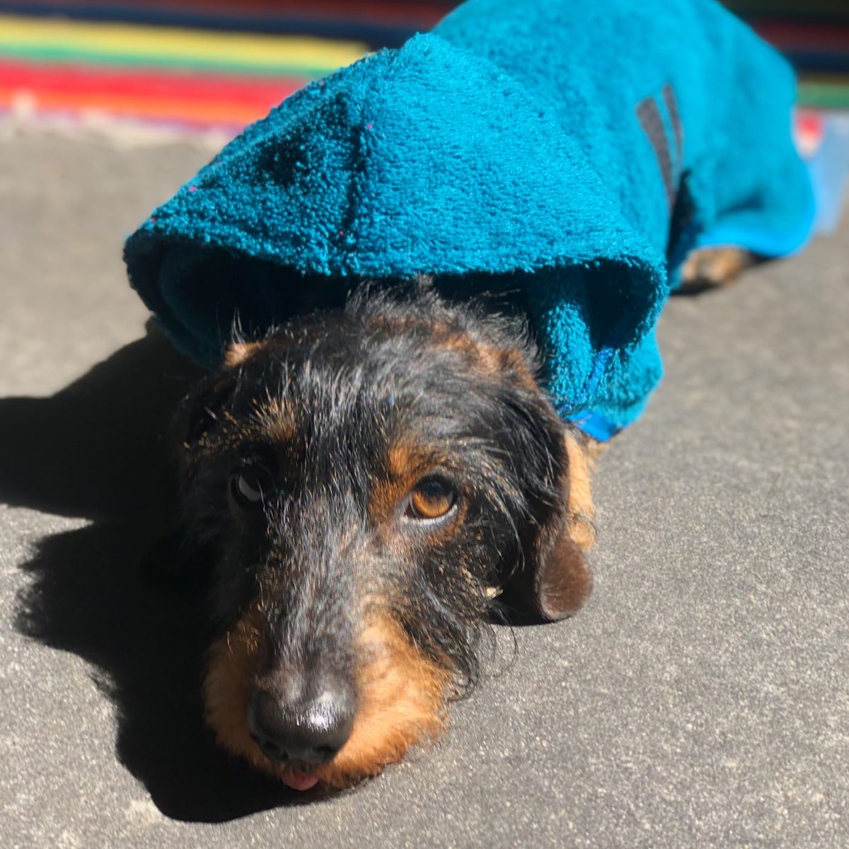 Droge poncho badjas voor honden