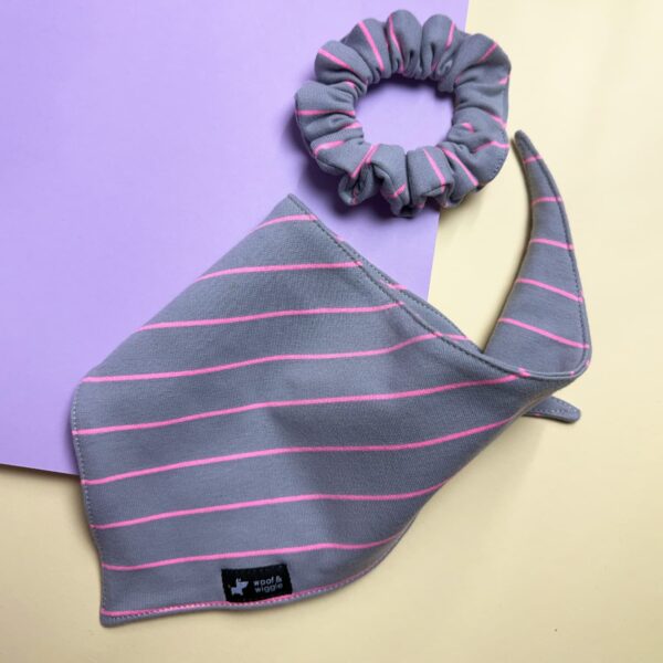 Hundehalstuch Bandana Neon Stripes