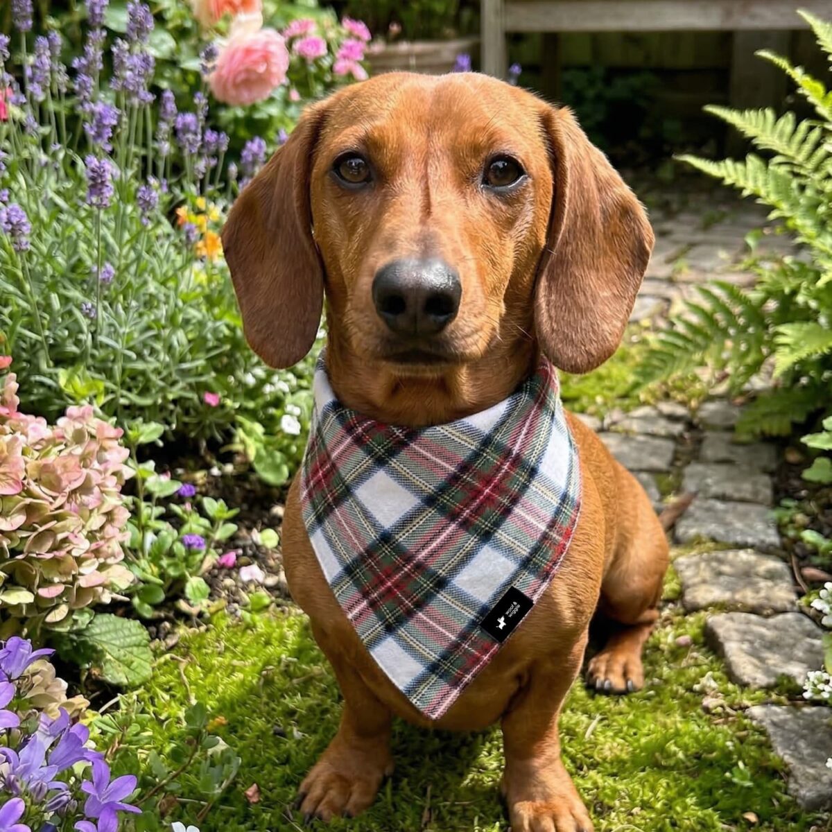 Hundehalstuch Bandana Lumberjack Klassik