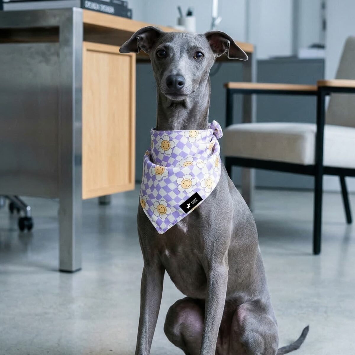 Hunde Halstuch Smiley