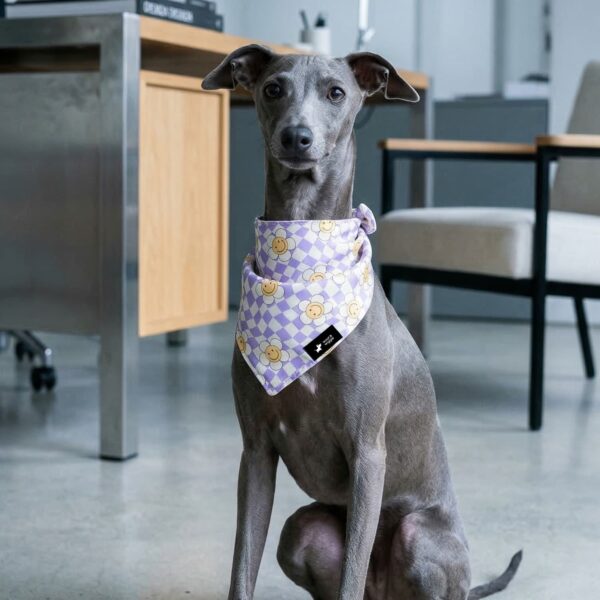 Hunde Halstuch Smiley