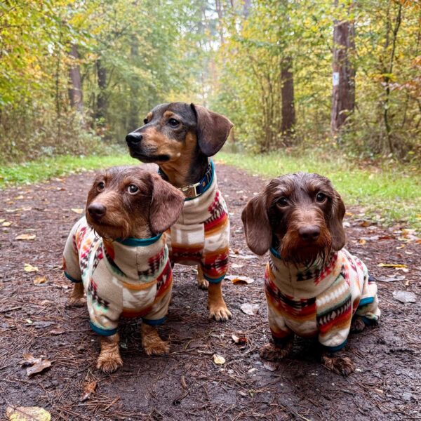 Hunde Onesie Desert Valley Pullover mit Beinchen