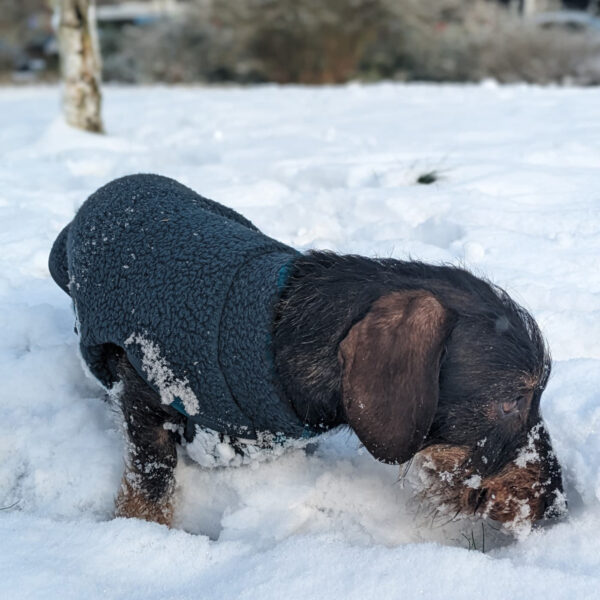 Shearling Polartec Schieferblau