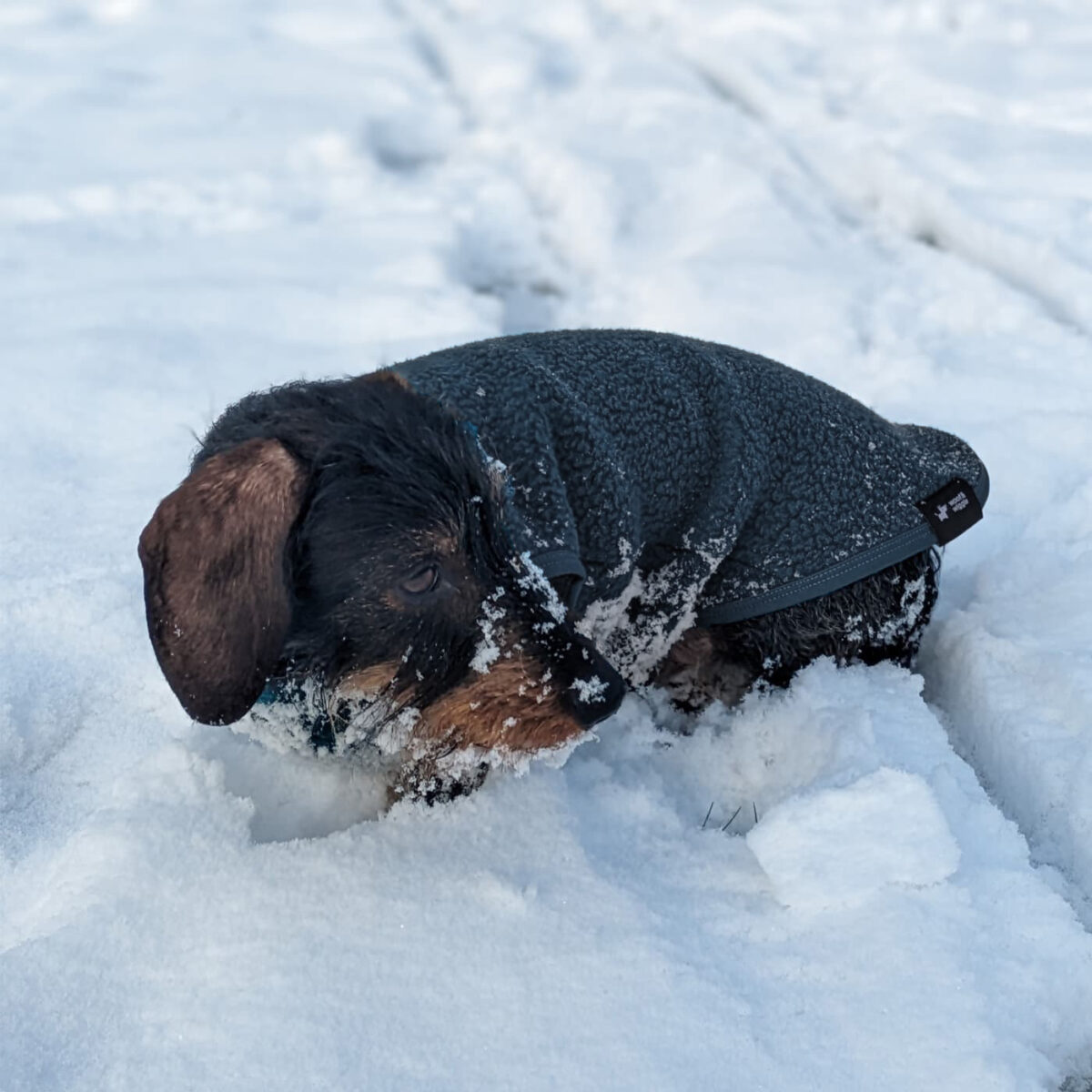 Shearling Polartec Schieferblau